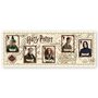 Harry Potter - aršík známek s profesory z Bradavic